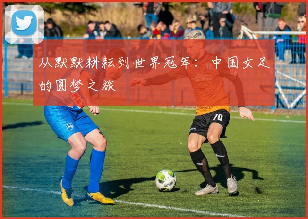 从默默耕耘到世界冠军：中国女足的圆梦之旅