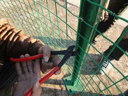 现货供应养殖荷兰网 为动物养殖与饲养提供坚固屏障